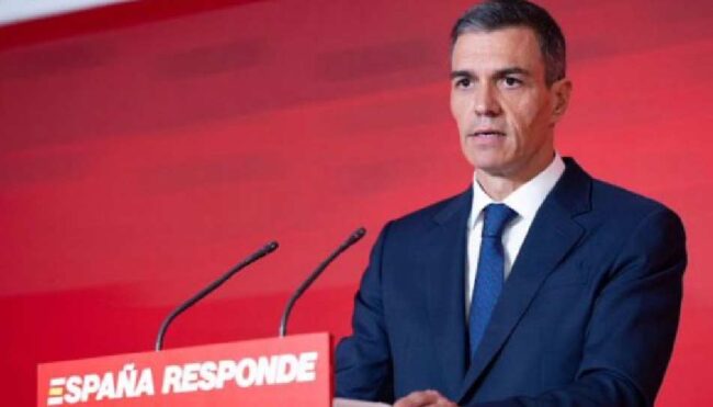 Pedro Sánchez | Naberco Digital Pedro Sánchez