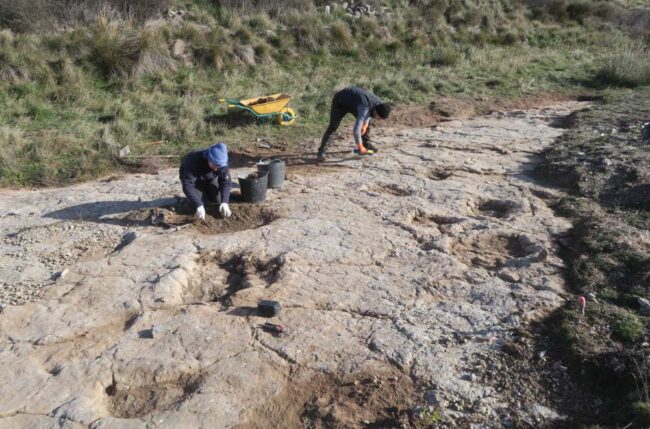 huellas de dinosaurios en Teruel | Naberco Digital huellas de dinosaurios en Teruel