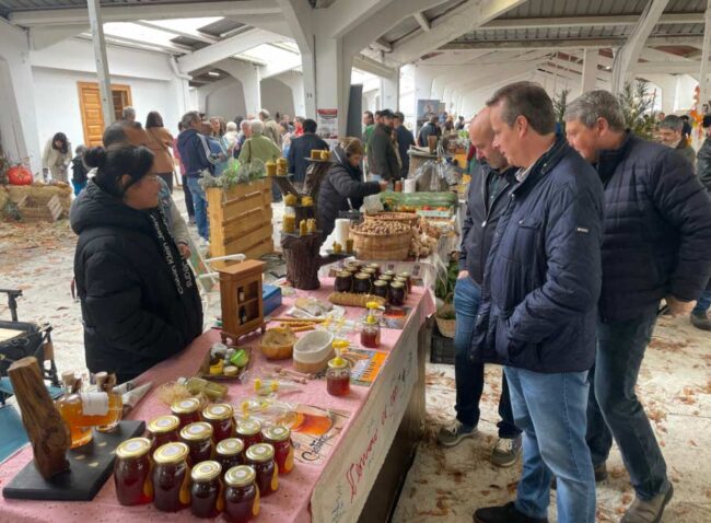 La producción de Chosco de Tineo bate récords | Naberco Digital La producción de Chosco de Tineo bate récords