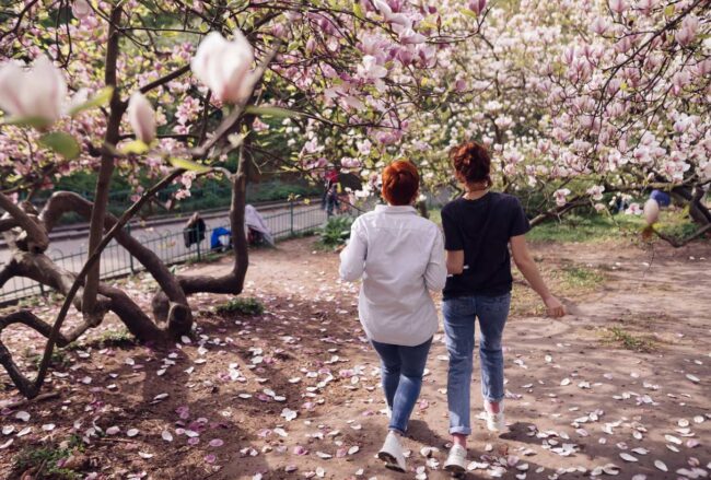 Primavera 2026 cuando el día se alarga sin aviso