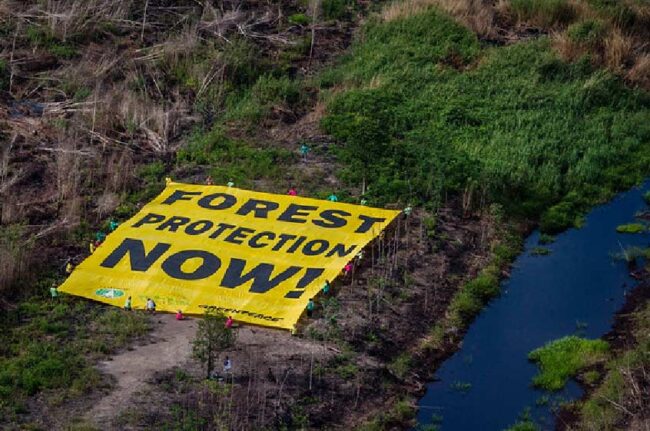 La Comisión Europea revisa la norma contra la deforestación | Naberco Digital La Comisión Europea revisa la norma contra la deforestación