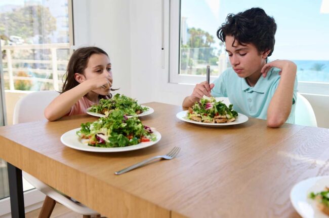 La AEP ve viables las dietas veganas infantiles supervisadas | Naberco Digital La AEP ve viables las dietas veganas infantiles supervisadas
