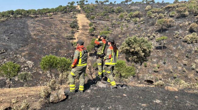 Controlados los incendios de la Sierra Oeste de Madrid