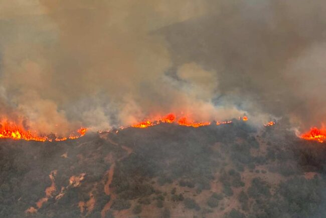 Greenpeace pide compromisos en la prevención de incendios