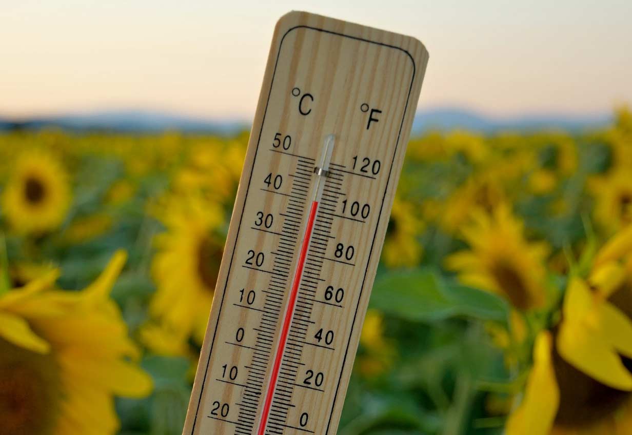 Miles de muertos por calor en España